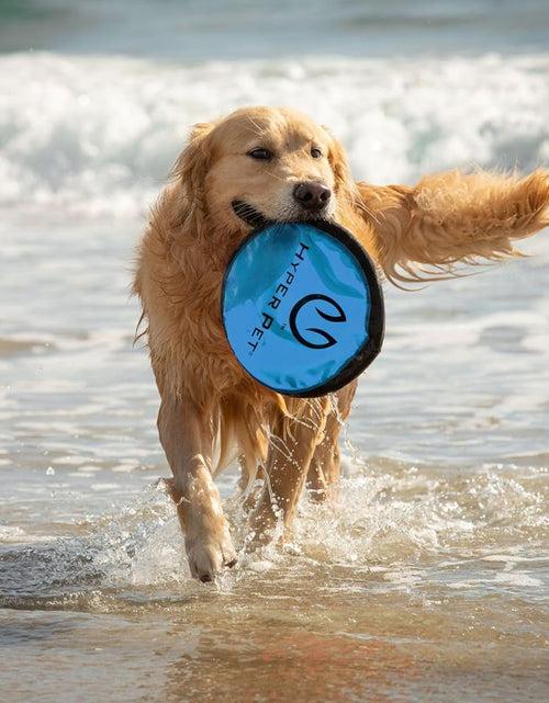 Load image into Gallery viewer, Flippy Flopper Dog Frisbee Interactive Dog Toys (Flying Disc Dog Fetch Toy - Floats in Water &amp; Safe on Teeth) 2 Pack or 5 Pack, Colors Will Vary

