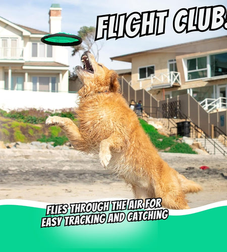 Flippy Flopper Dog Frisbee Interactive Dog Toys (Flying Disc Dog Fetch Toy - Floats in Water & Safe on Teeth) 2 Pack or 5 Pack, Colors Will Vary