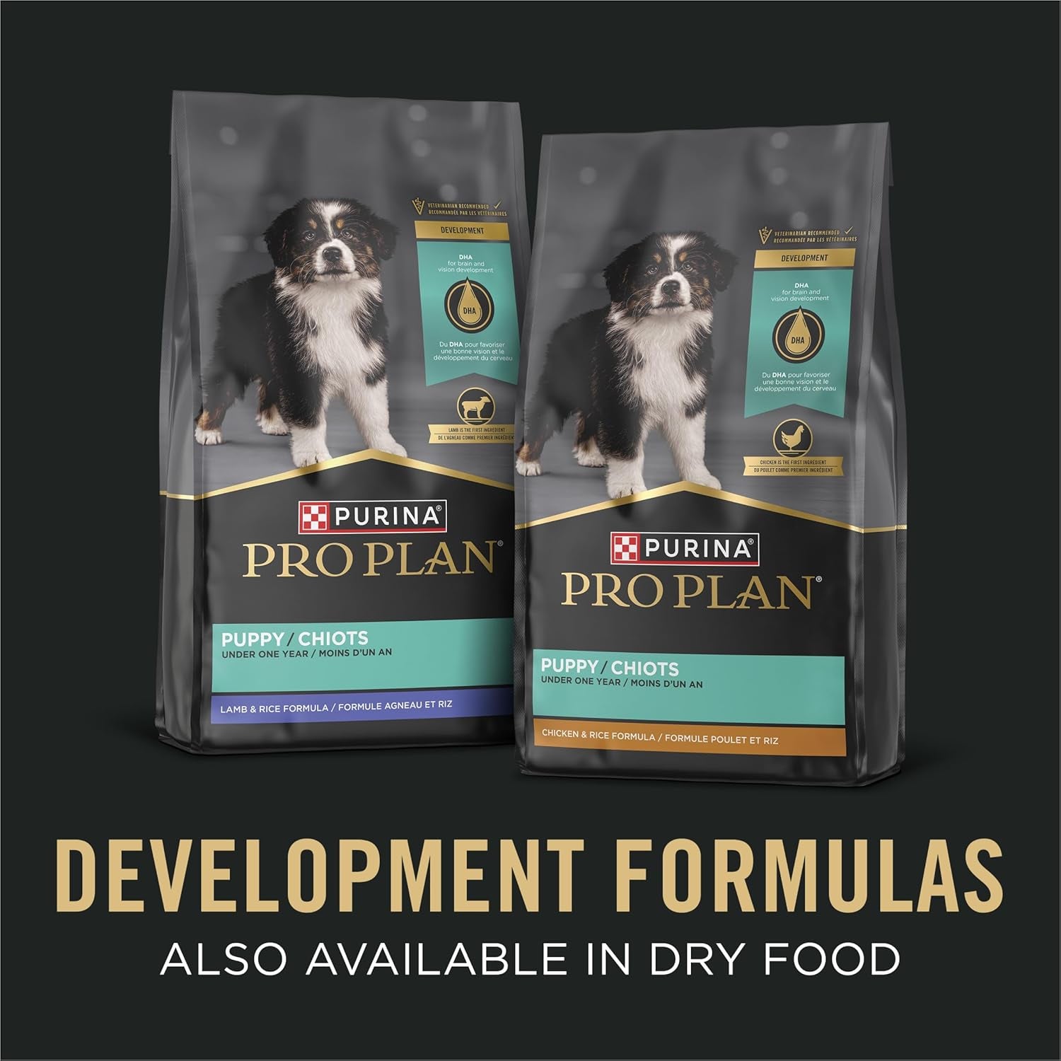 Pate Wet Puppy Food, DEVELOPMENT Chicken & Brown Rice Entree - (12) 13 Oz. Cans