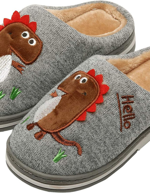 Load image into Gallery viewer, Boys Girls Cozy House Slippers Warm Plush Winter Cotton Slipper Kids Cute Dinosaur Indoor Shoes Non-Slip
