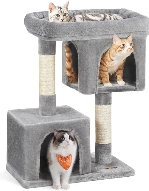 Load image into Gallery viewer, Cat Tree for Large Cats, Cat Tower 2 Cozy Plush Condos and Sisal Posts
