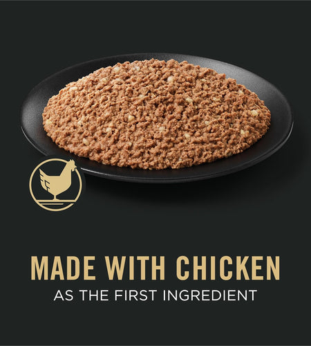 Pate Wet Puppy Food, DEVELOPMENT Chicken & Brown Rice Entree - (12) 13 Oz. Cans