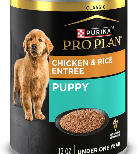Pate Wet Puppy Food, DEVELOPMENT Chicken & Brown Rice Entree - (12) 13 Oz. Cans
